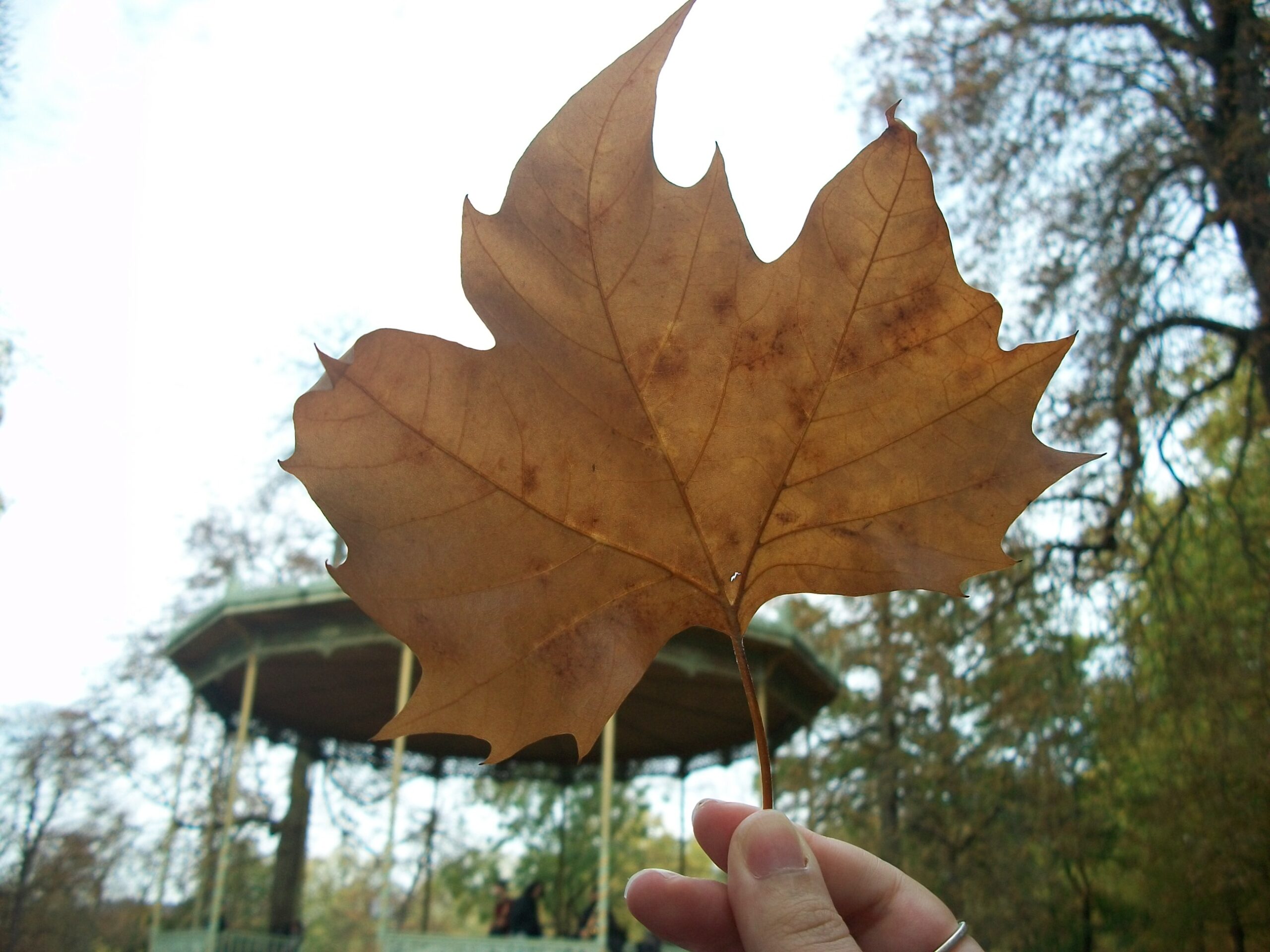 2025 Recap + Prismatic Anniversary + Resolutions for 2026